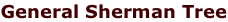 shapeimage_2_link_6